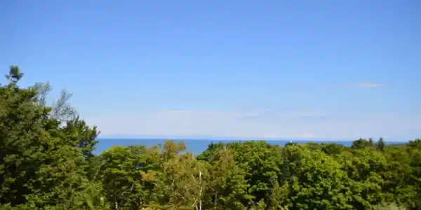 N Island View Drive