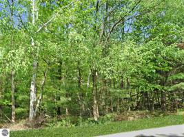 Bluff Road