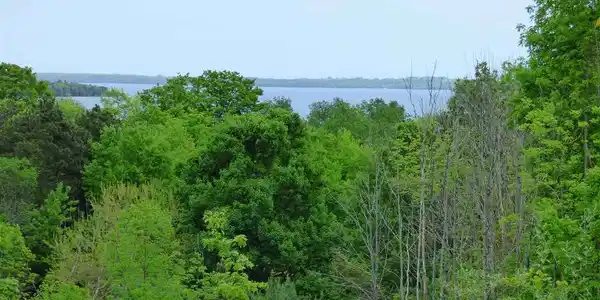 2.7 Acres S Bay Valley