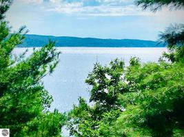 00 White Birch Trail