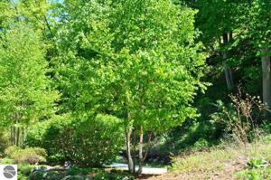 5 E Manitou Shores