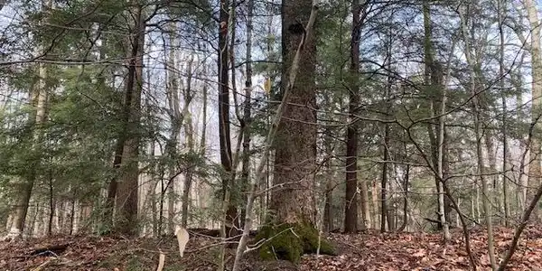 Lot 179 N Knollwood Drive