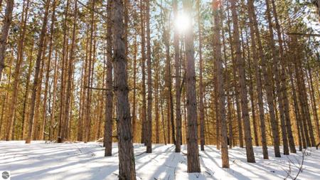 4811 Truax Lake Road