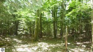 00 Sylvan Road