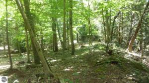 00 Sylvan Road