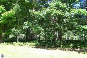 0 Huron Woods Drive