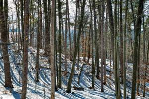 Ishpeming Trail