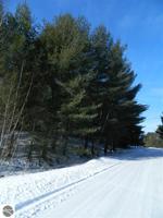 0 Wolverine Trail