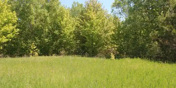 Lot 41 N Shores Court