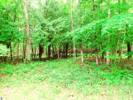 Outer Drive