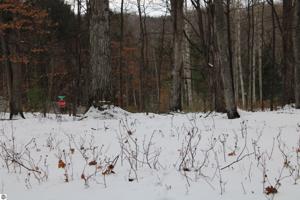 Buck Ridge Court