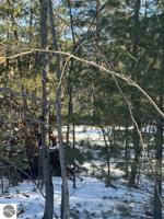 0 Pineview Court