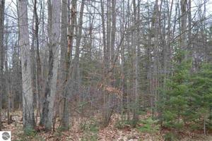 Lot 21 Ottawa Trail