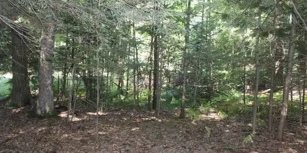Lot 82 Knollwood