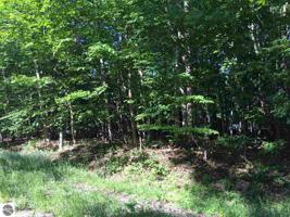 Lot 54 Cherokee Trail