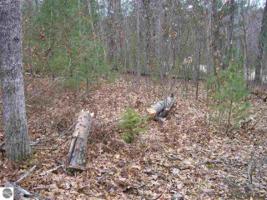 VL Onondaga Trail