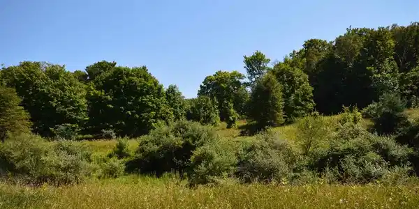 N Island View Drive