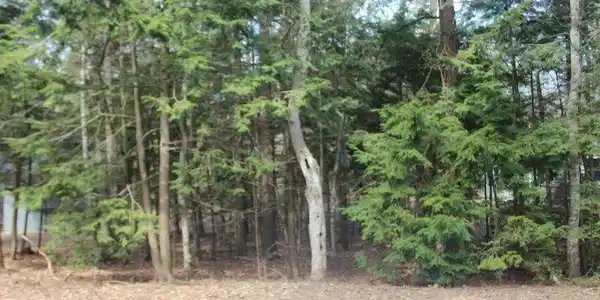 Lot 153 N Knollwood Drive
