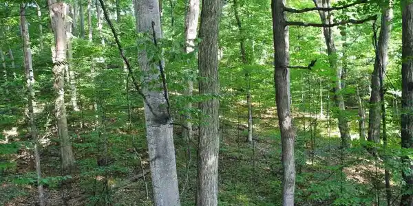 Lot 88 S Bay View Trail
