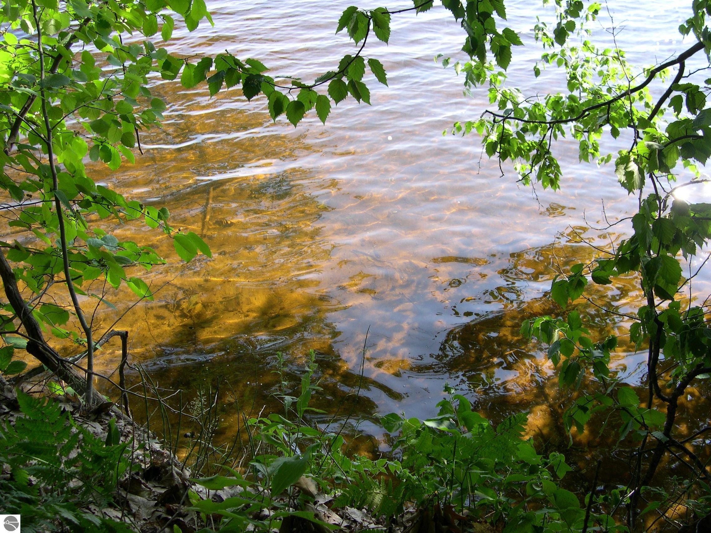 Image 3: Sandy Lake Shore