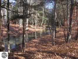 6 Forest Trail