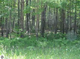 0 Ruffed Grouse Trail