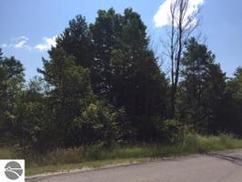 Gitchegumee Drive