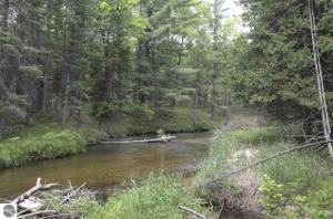 00 Brown Bridge