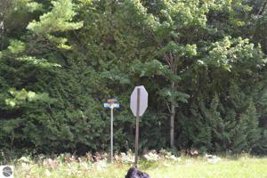 Brookwood Trail