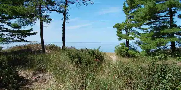 3 Beach Comber