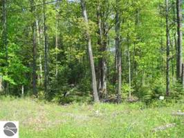 Lot 67-1 Old Dixie Highway
