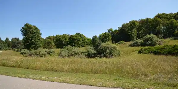 N Island View Drive