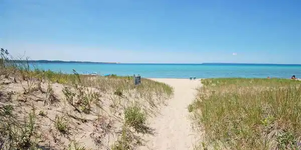 1 Sand Piper