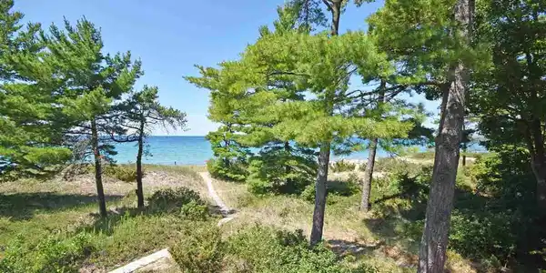 9 Beach Comber