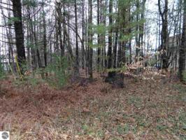 0 Wolverine Trail