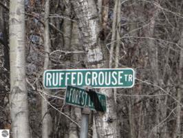 0 Ruffed Grouse Trail