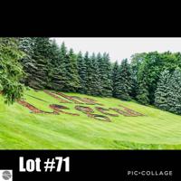 Lot 71 Legend Trail