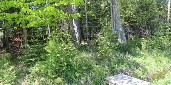 Lot 266 N Forest Beach Shores