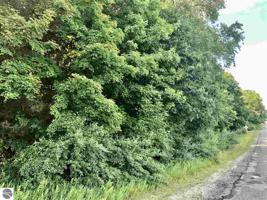 000 Shanty Creek Road