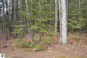 Lot 17 Was-Wa-Gun Trail