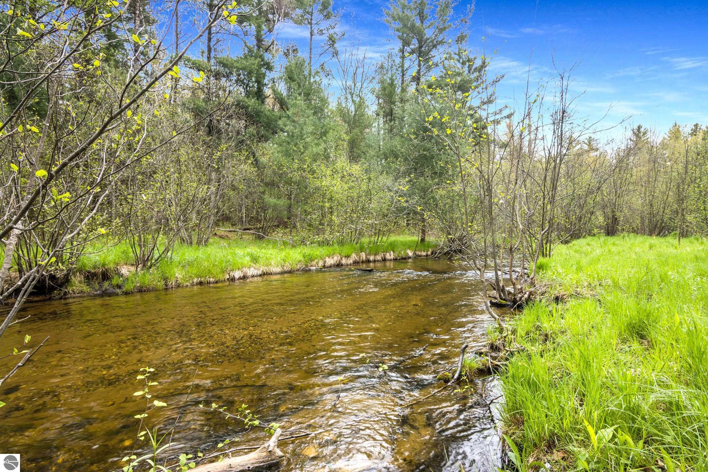 Image 1: 420' of frontage on the Boardman River.