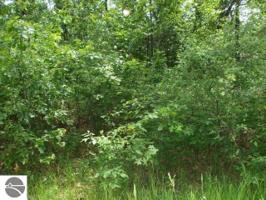 0 S Ogemaw Trail
