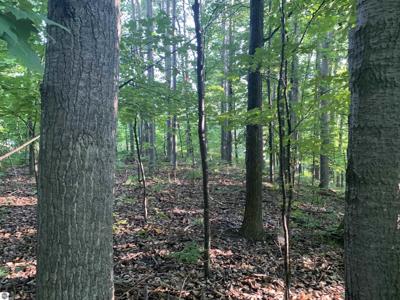 Lot 35 Valley View Road