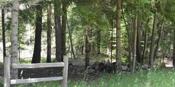 Lot 131 N Forest Beach Shores
