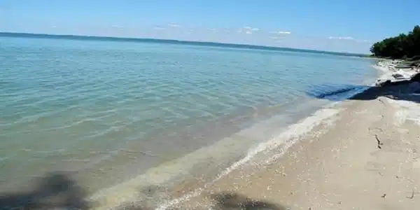 Lot 241 N Forest Beach Shores