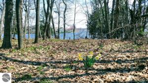 Lk Lot 26 Starke Road