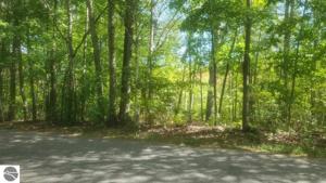 0 S Ogemaw Trail
