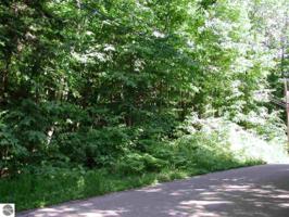 120+ Michigan Trail