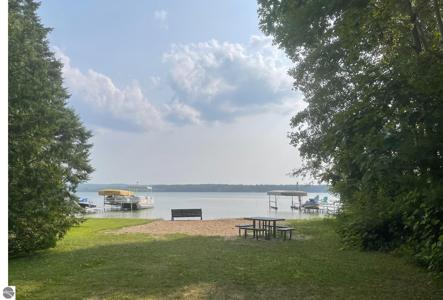 4125 White Birch