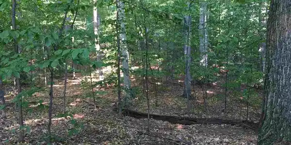 S Bay View Trail